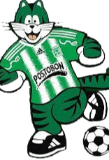 https://img.qdverde.com/img/football/team/584f44246616542fa55b59db610d2495.png